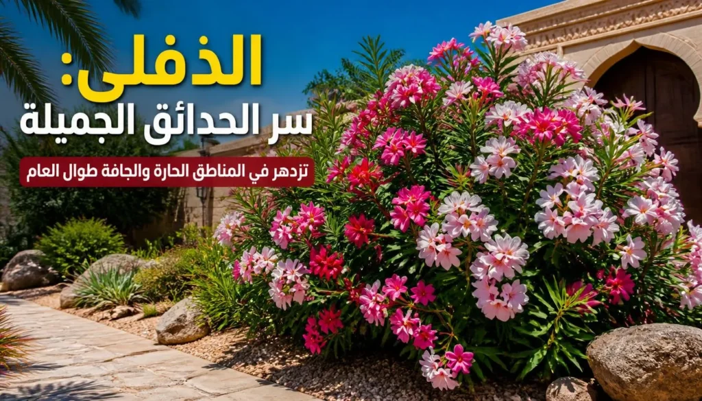 الدفلى: سر الحدائق الجميلة