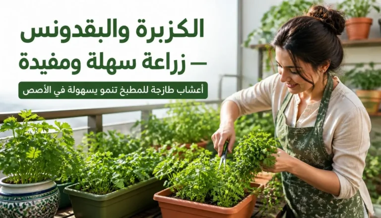 الكزبرة والبقدونس