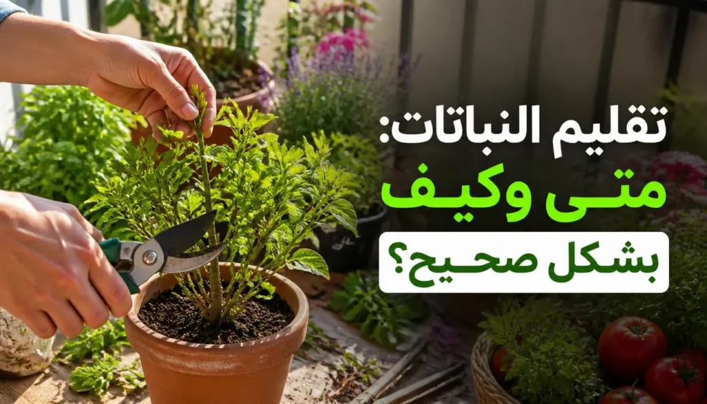 تقليم النباتات