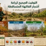التوقيت الصحيح لزراعة أشجار الفاكهة المتساقطة